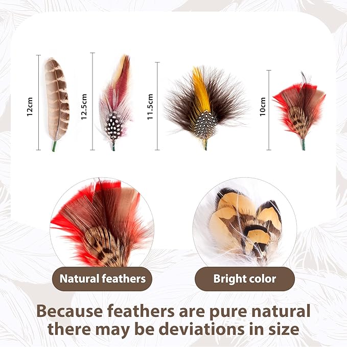 Mix Brown 11 - Piece Feather Hat Band Accessory Set - Mix Brown