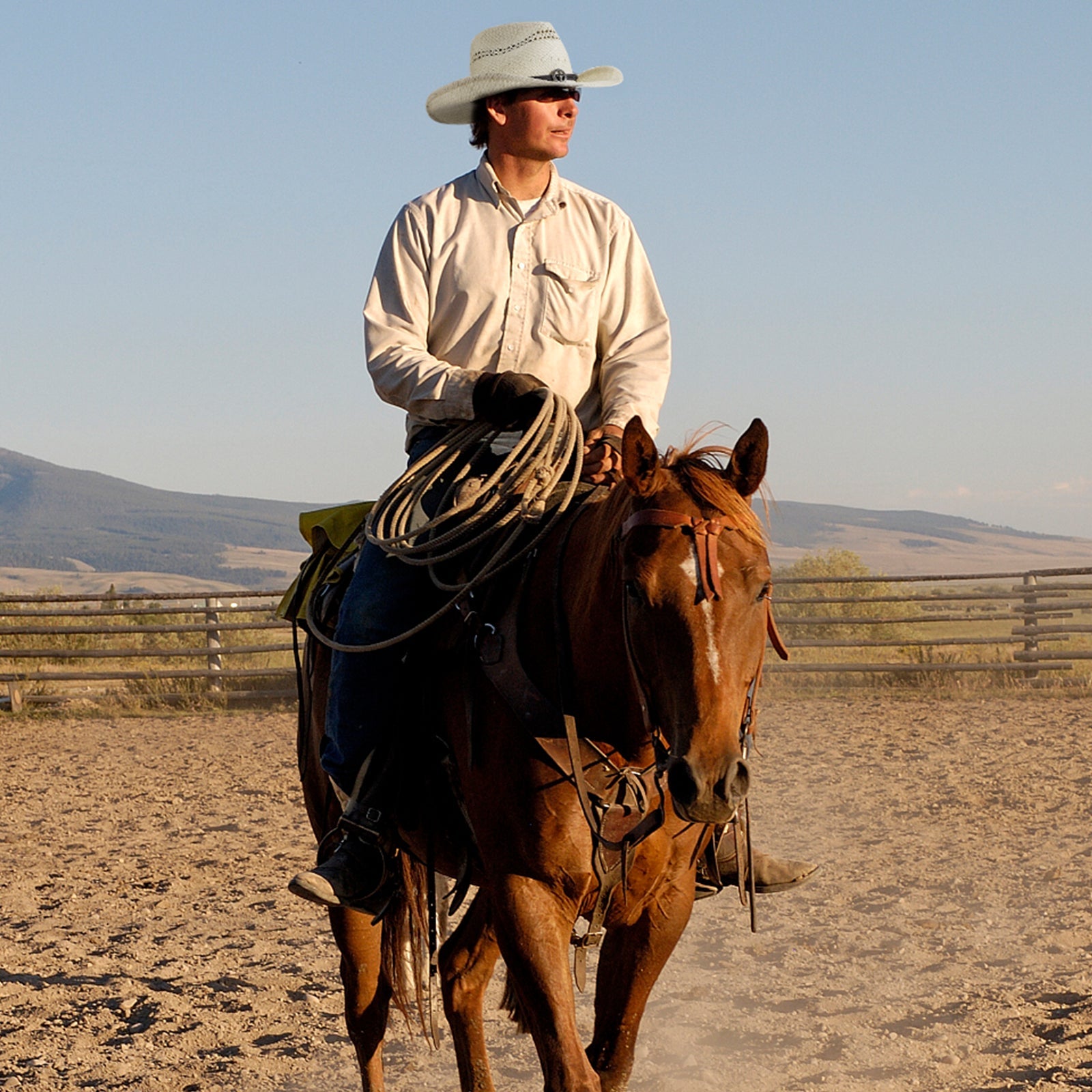 Silver Raffia Straw Cowboy Hat - Mix Brown