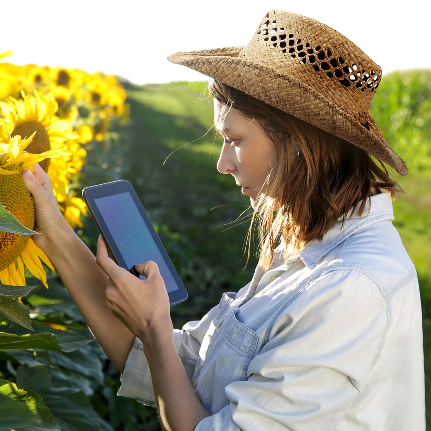 Vista Raffia Straw Cowboy Hat - Mix Brown